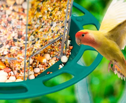 Comedero Automático para Pájaros