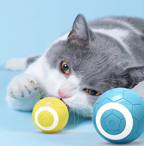 Bola de Juguete Eléctrica para Mascotas